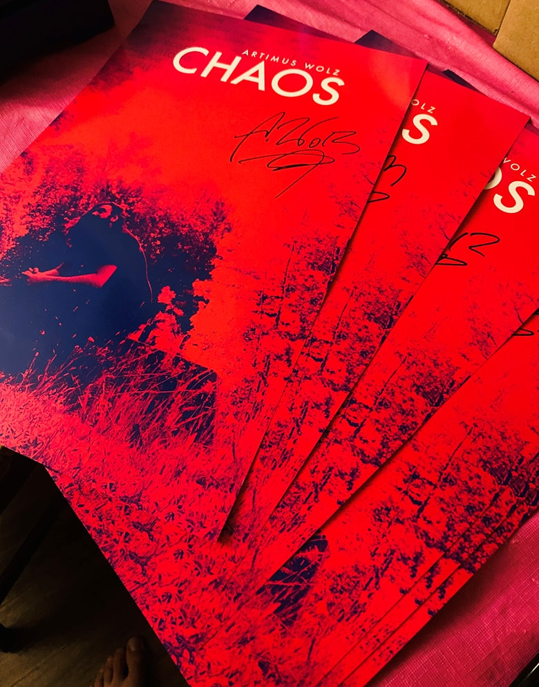 Chaos Poster