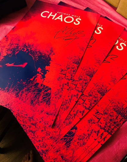 Chaos Poster